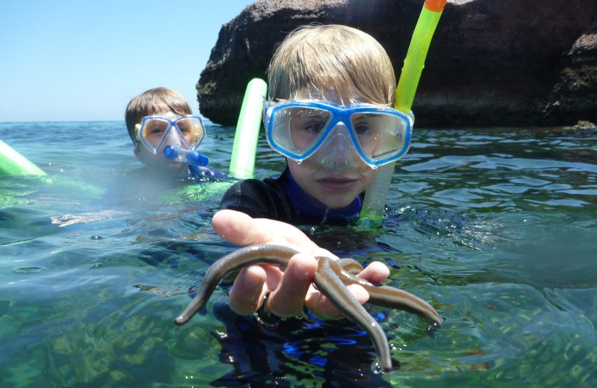 Kids Snorkeling
