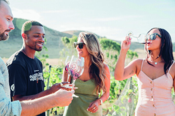 Young men and women wine tasting in the vines in summer on Waiheke Island in New Zealand