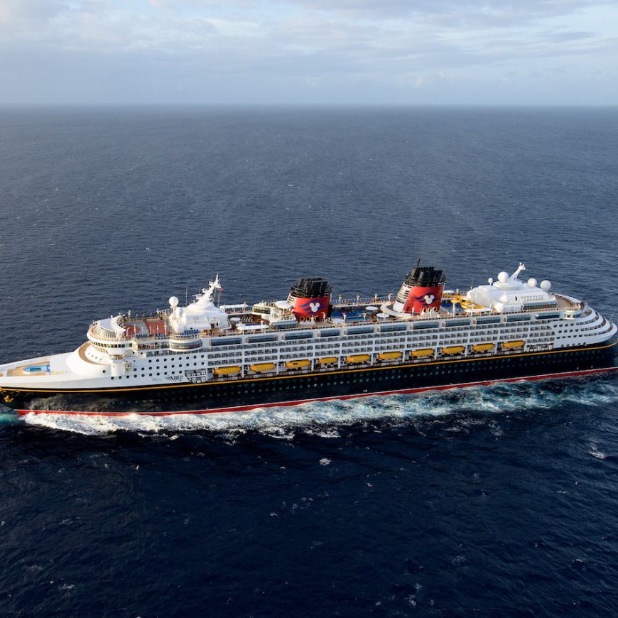 The Disney Wonder at Sea