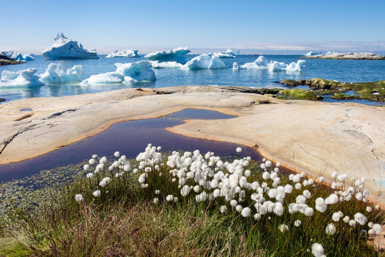Arctic Ilulissat