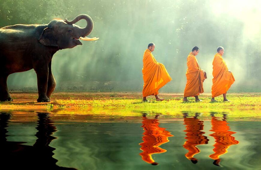 Explore Asia with the elephants and monks in Thailand.
