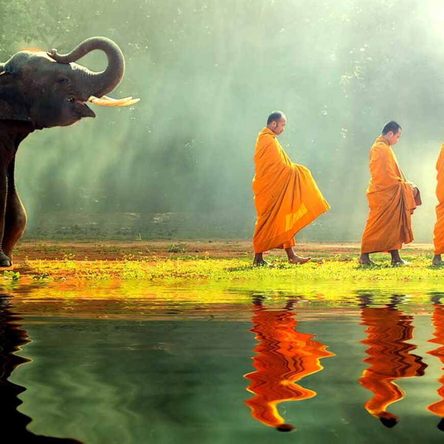 Explore Asia with the elephants and monks in Thailand.