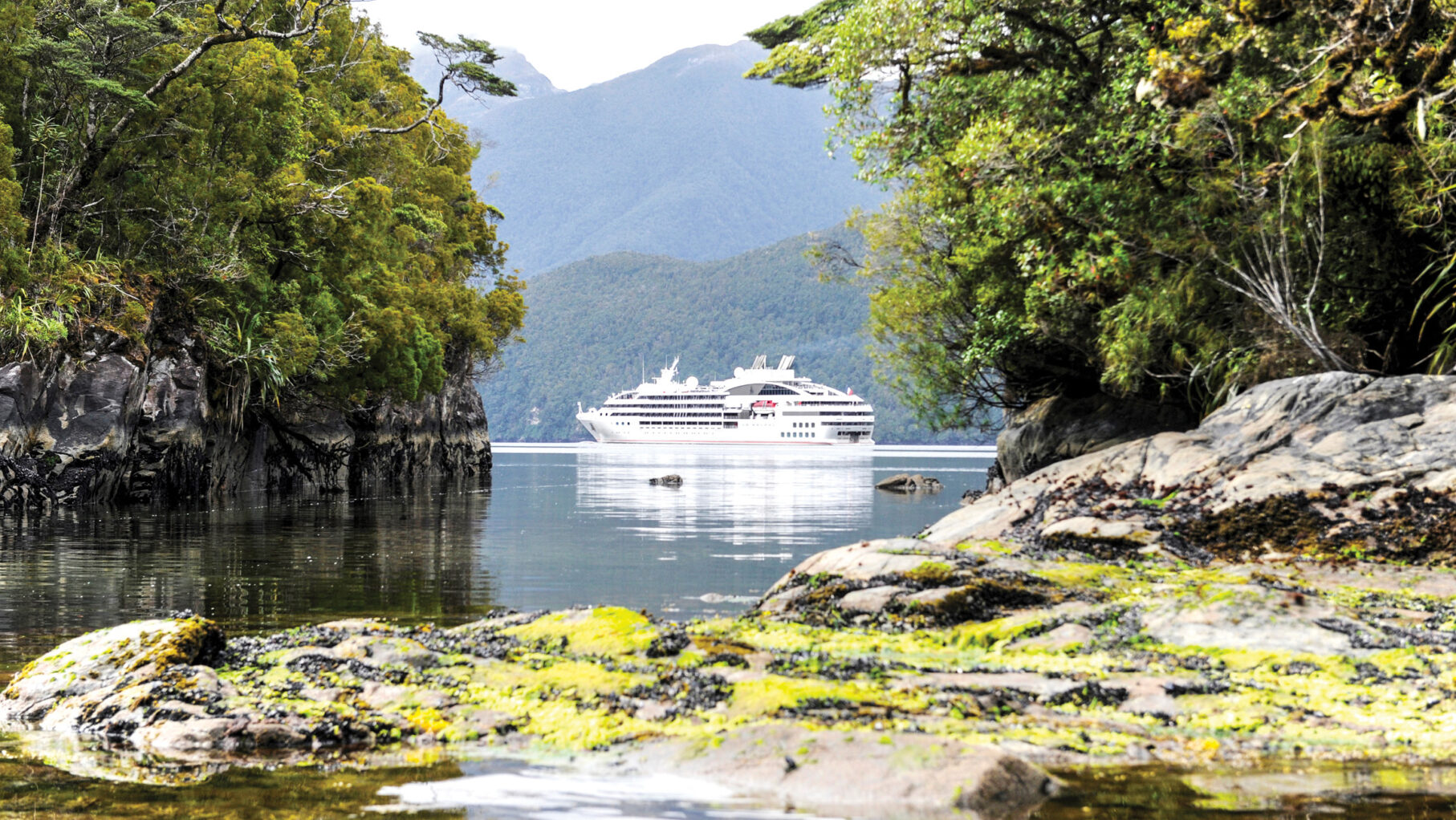 Cruise New Zealand’s coastline in style aboard the stylish Le Soleal
